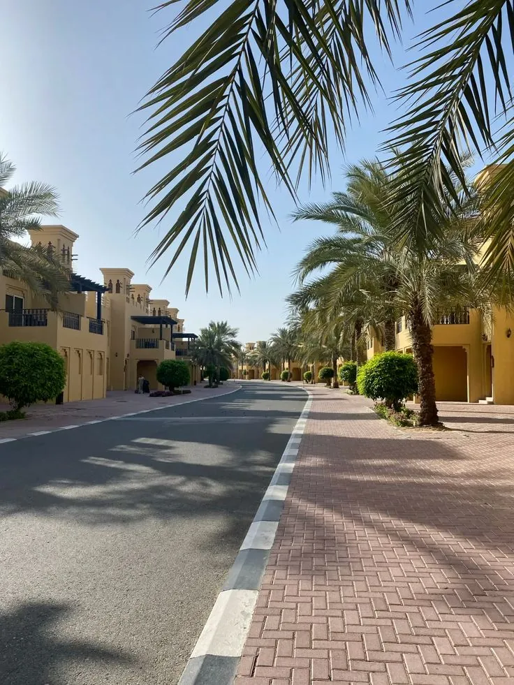 Lakóutca pálmasorral egy dubaji közösségben